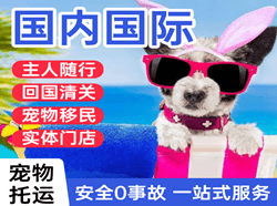 海西花土沟航空运输国际宠物托运 【国